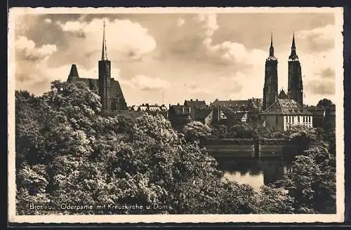 AK Breslau, Oderpartie mit Kreuzkirche und Dom