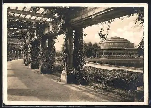 AK Breslau, Pergola mit Jahrhunderthalle