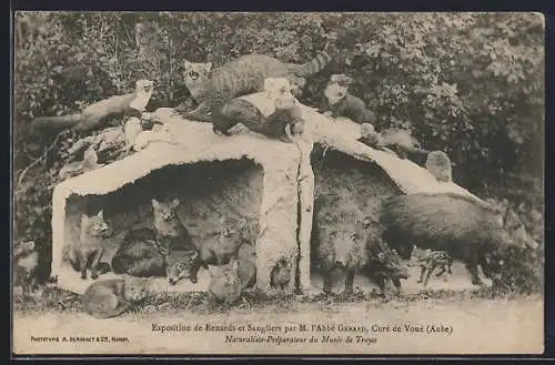 AK Voué, Exposition de renards et sangliers par M. l`Abbé Gérard, curé de Vové, Aube