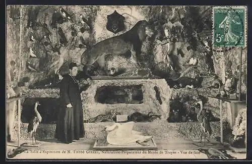 AK Troyes, Salle d`Exposition de M. l`Abbé Giraux, Naturaliste-Préparateur du Musée de Troyes, Vue de face