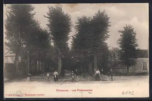 AK Chaource, Les Promenades