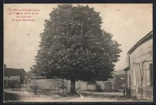 AK Celles-sur-Ource, Le gros Marronnier