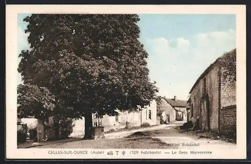 AK Celles-sur-Ource, Le Gros Marronnier dans la rue principale