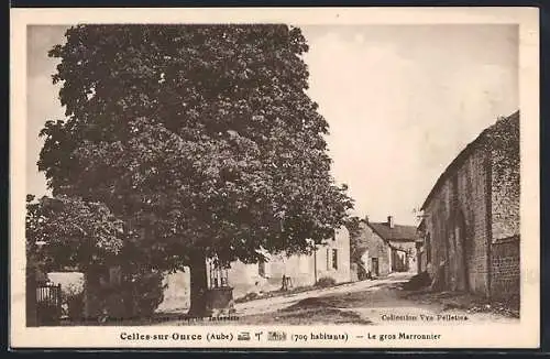 AK Celles-sur-Ource, Le gros Marronnier et rue du village