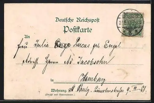 Lithographie Hamburg-Neustadt, Hammonia-Rundfahrt-Gesellschaft, Kutsche, Dampfer in Fahrt