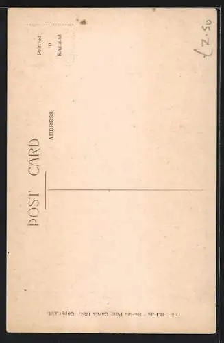 Künstler-AK George Ernest Studdy: Tip and Run, Bonzo