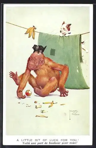Künstler-AK Lawson Wood: Affe mit Katze und Hund