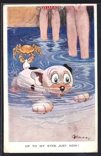 Künstler-AK Up to my eyes just now, Bonzo schwimmt im Wasser, Krabbe zwickt ihn in den Schwanz