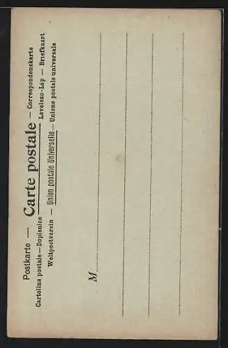 Lithographie La Poste au Venezuela, Postbote, Flagge, Briefmarke