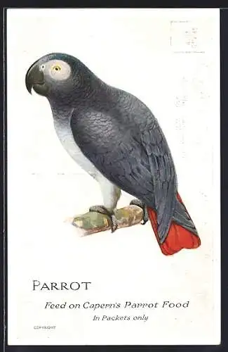 Künstler-AK Parrot, Feed on Capern`s Parrot Food