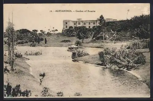 AK Alexandria, Garden of Rosette