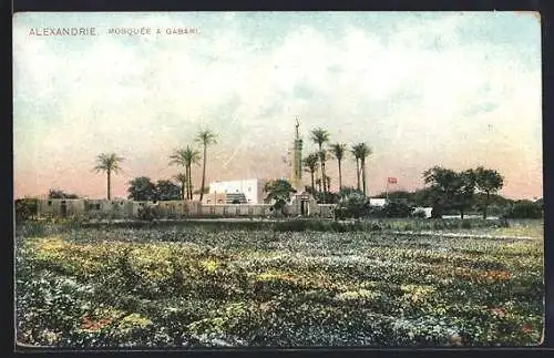 AK Alexandrie, Mosque a Gabari
