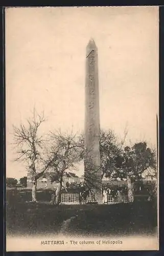 AK Mattaria, The column of Heliopolis