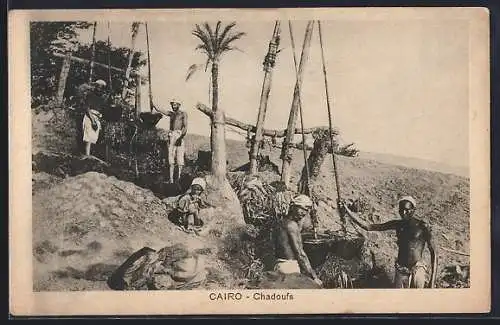 AK Cairo, Chadoufs