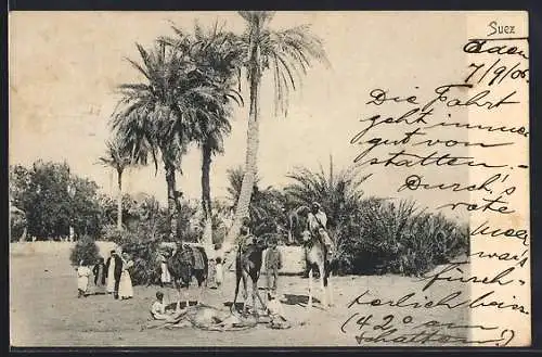 AK Suez, Beduinen und Kamele bei der Rast unter Palmen