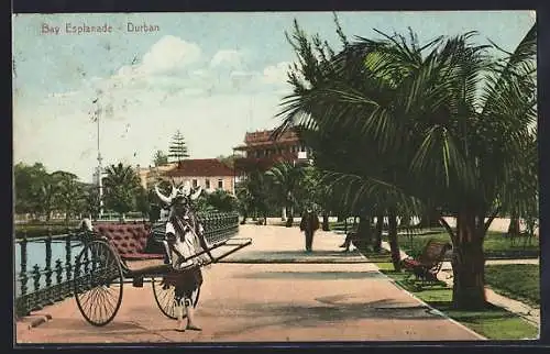 AK Durban, Bay Esplanade mit Rikscha