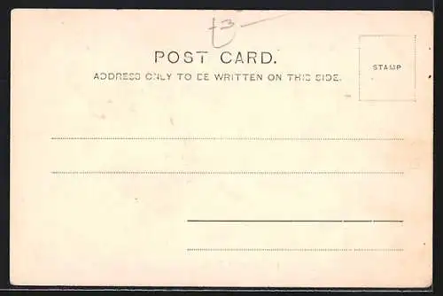 AK Durban, Off-loading Cattle at the Point