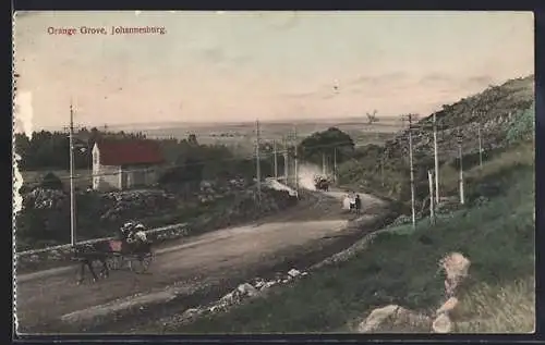 AK Johannesburg, Orange Grove with Horse Carriages
