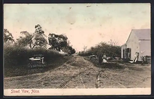 AK Alice, Street View