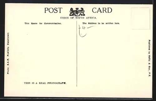 AK Durban, Pine Street and Borough Market