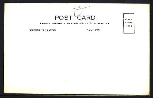 AK Durban, View from Berea