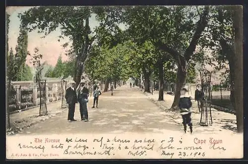 AK Cape Town, The Avenue with Pedestrians