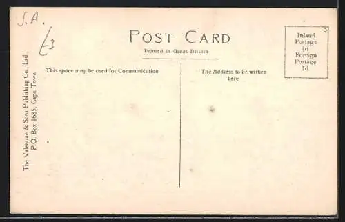 AK Three Anchor Bay /C. P., View of the Bay