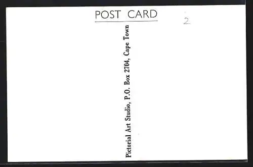 AK Cape Town, Adderley Street