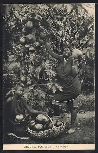 AK Afrique, Missions d`Afrique, Le Papayer, afrikanische Volkstypen