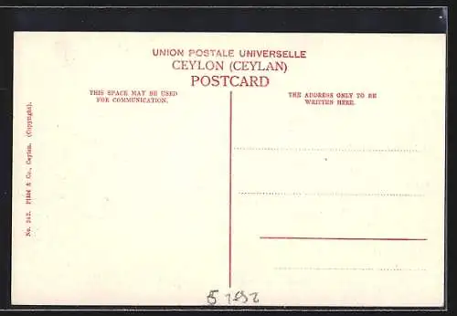 AK Tamil Barber, At work shaving the head