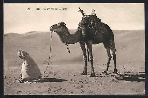 AK Biskra, La Prière au Désert, Araber betet neben seinem Kamel in der Wüste