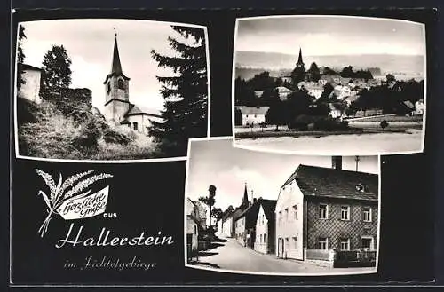 Foto-AK Hallerstein / Fichtelgebirge, verschiedene Ortsansichten im