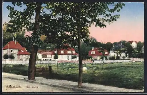 AK Schleswig, Thiesensweg