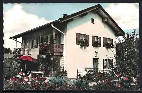 AK Nesselwang / Allgäu, Hotel Haus Olga Graf