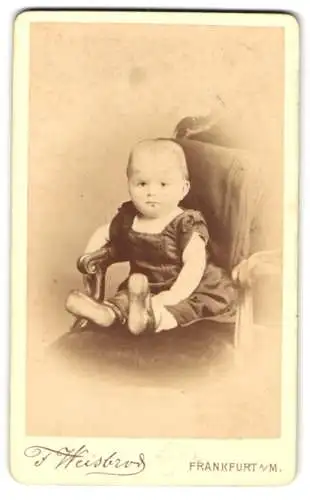 Fotografie F. Weisbrod, Frankfurt am Main, Bleichstrasse 70, Porträt eines Kleinkinds