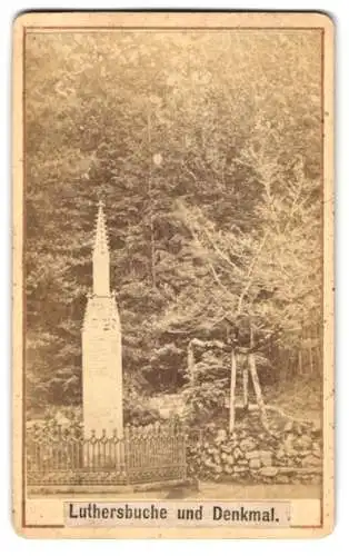 Fotografie unbekannter Fotograf, Ansicht Steinbach bei Salzungen, die Lutherbuche mit dem Denkmal