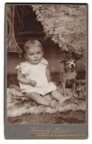 Fotografie Heinrich Momm, Zwickau i. S., kleines Kind im Leibchen nebst Hund auf einem Fell sitzend