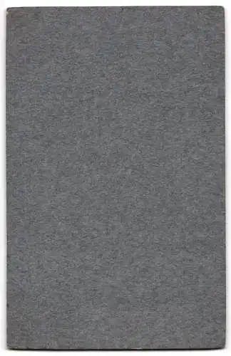 Fotografie Emil Winzer, Potschappel, junger Mann im Anzug mit Hut und Fliege, im Passepartout