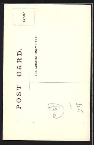 AK Ruthwell /Dumfries-shire, Ruthwell Cross