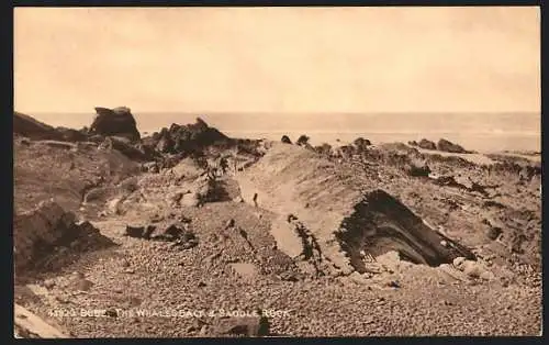 AK Bude, The Whales Back and Saddle Rock