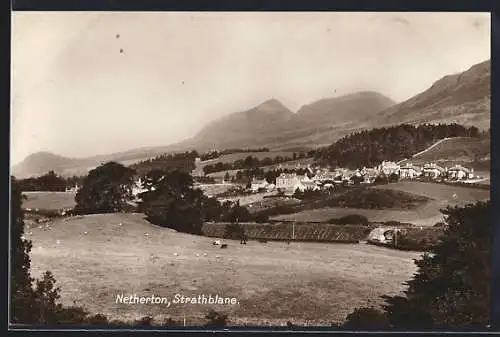 AK Netherton /Strathblane, General View over the Meadow