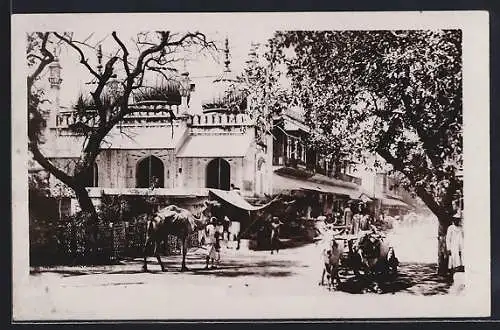 AK Delhi, Street scene