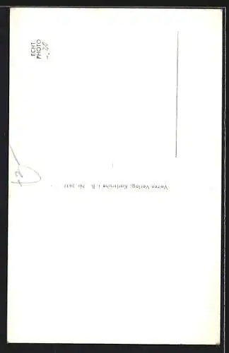 AK Ulm /Donau, Walfischgasse mit Münster