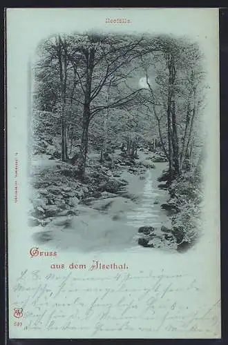 Mondschein-AK Ilsethal, Waldpartie an den Ilsefällen