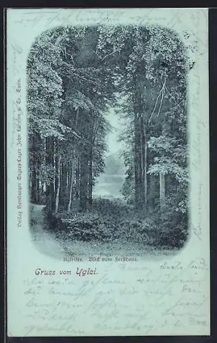 Mondschein-AK Uglei, Ugleisee vom Forsthaus aus