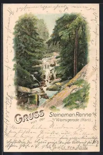 Lithographie Wernigerode /Harz, Steinerne Renne