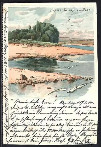 Lithographie Gauernitz a. d. Elbe, Insel