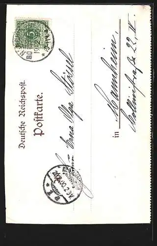 Lithographie Gauernitz a. d. Elbe, Insel