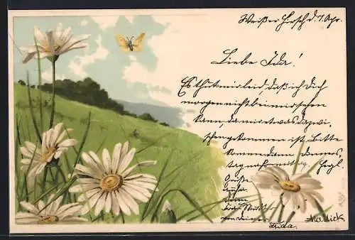 Künstler-AK Alfred Mailick: Wiese mit Margeriten und Schmetterling