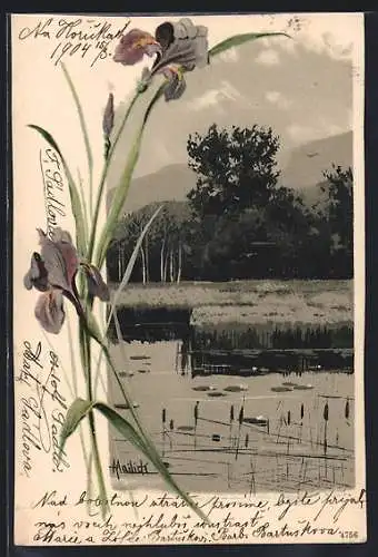 Künstler-AK Alfred Mailick: Blühende Iris, Partie am See